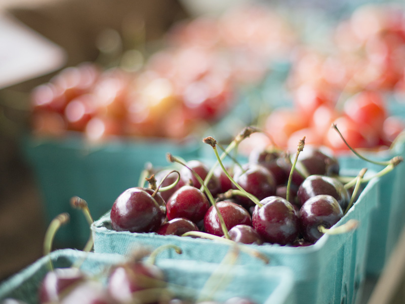 Organic Farming,USA,Punnets of fresh organic soft fruits.  Cherries.
