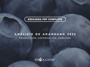 producepay-white-paper-analisis-de-arandano-azul-2021