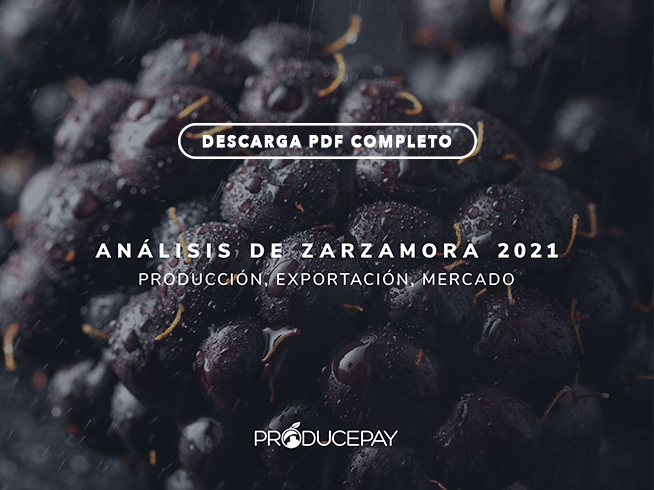 producepay-white-paper-analisis-de-zarzamora-2021