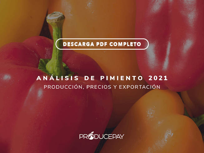 producepay-white-paper-analisis-de-pimiento-2021