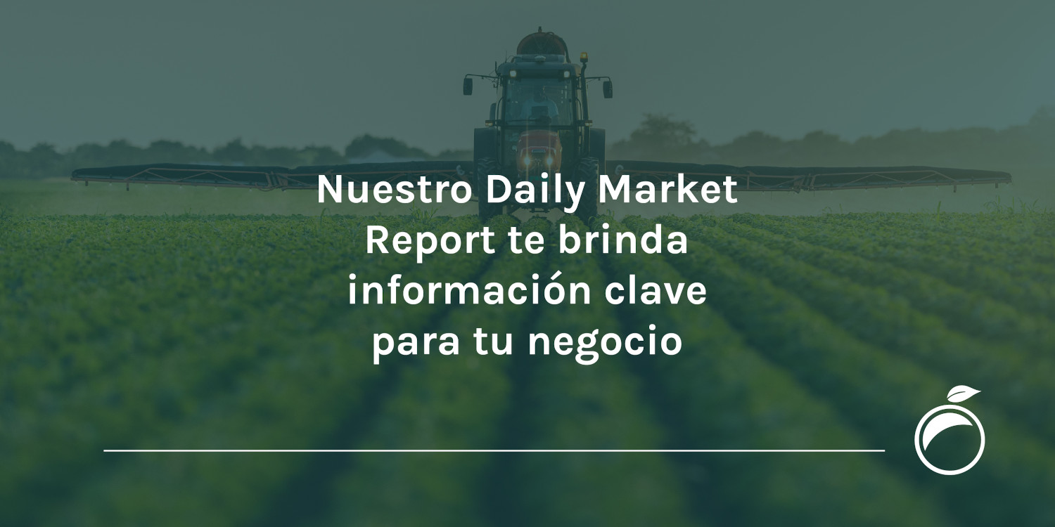 Nuestro Daily Market Report te brinda información clave para tu negocio