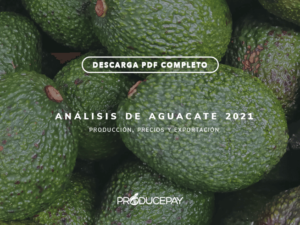 producepay-analisis-aguacate-white-paper-2021