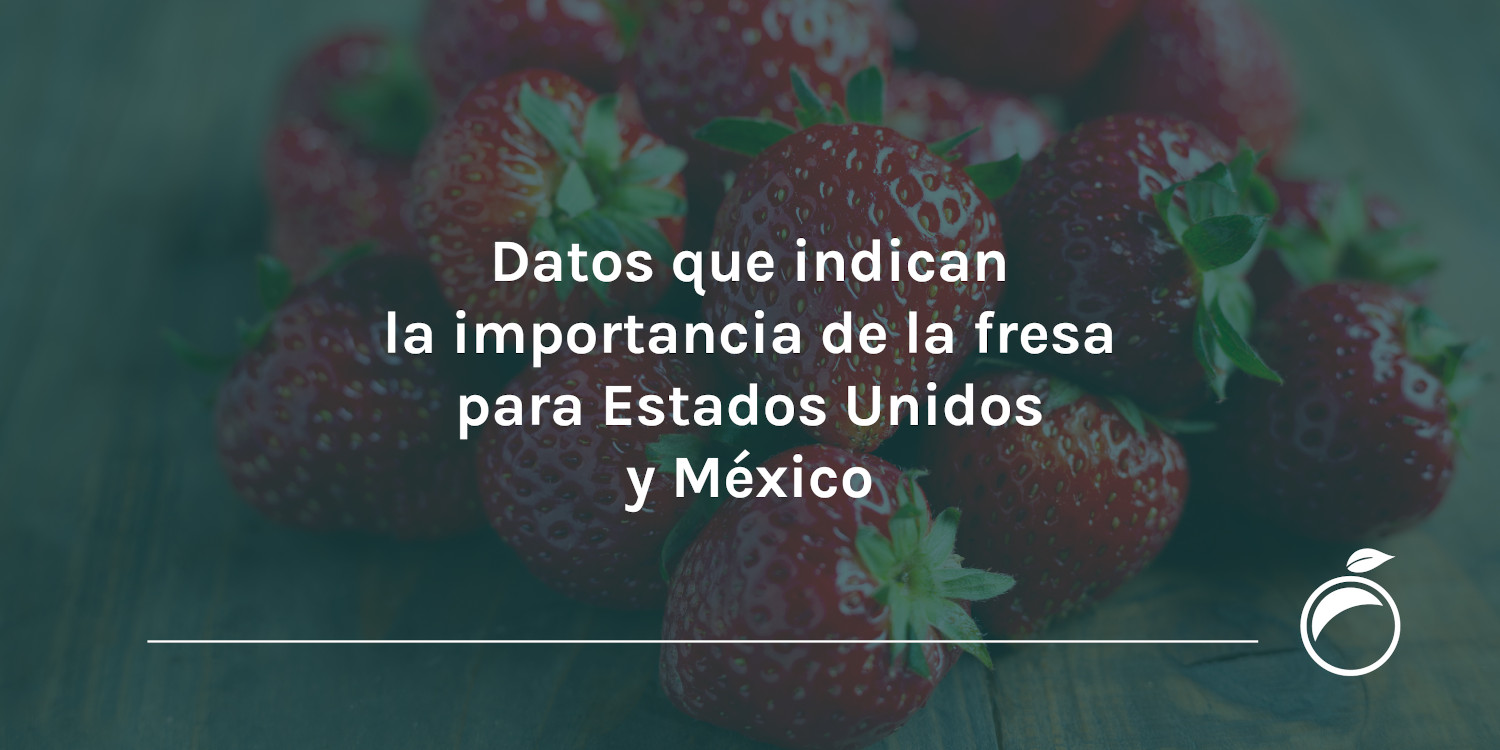 Datos que indican la importancia de la fresa para Estados Unidos y México