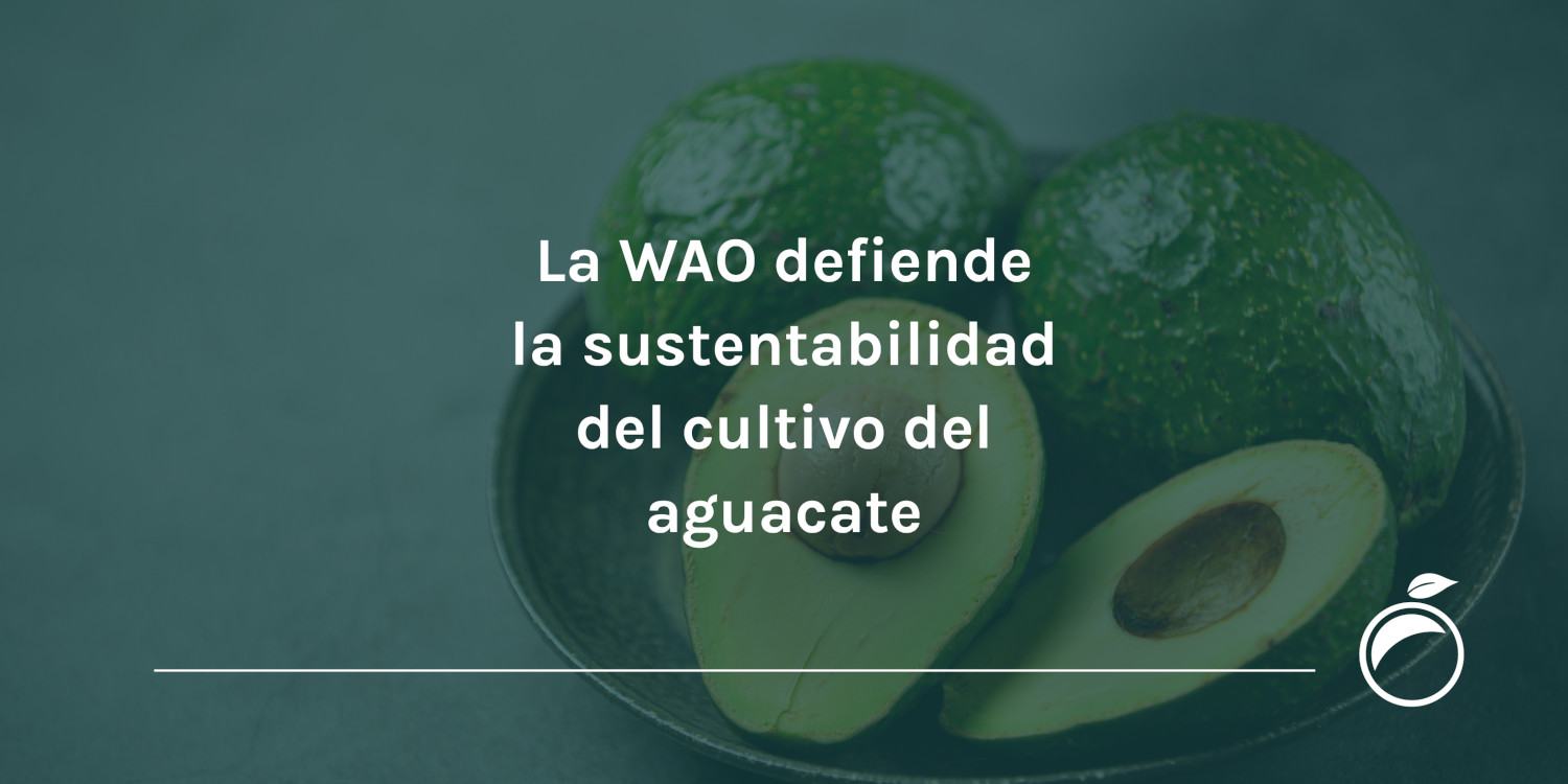 La WAO defiende la sustentabilidad del cultivo del aguacate