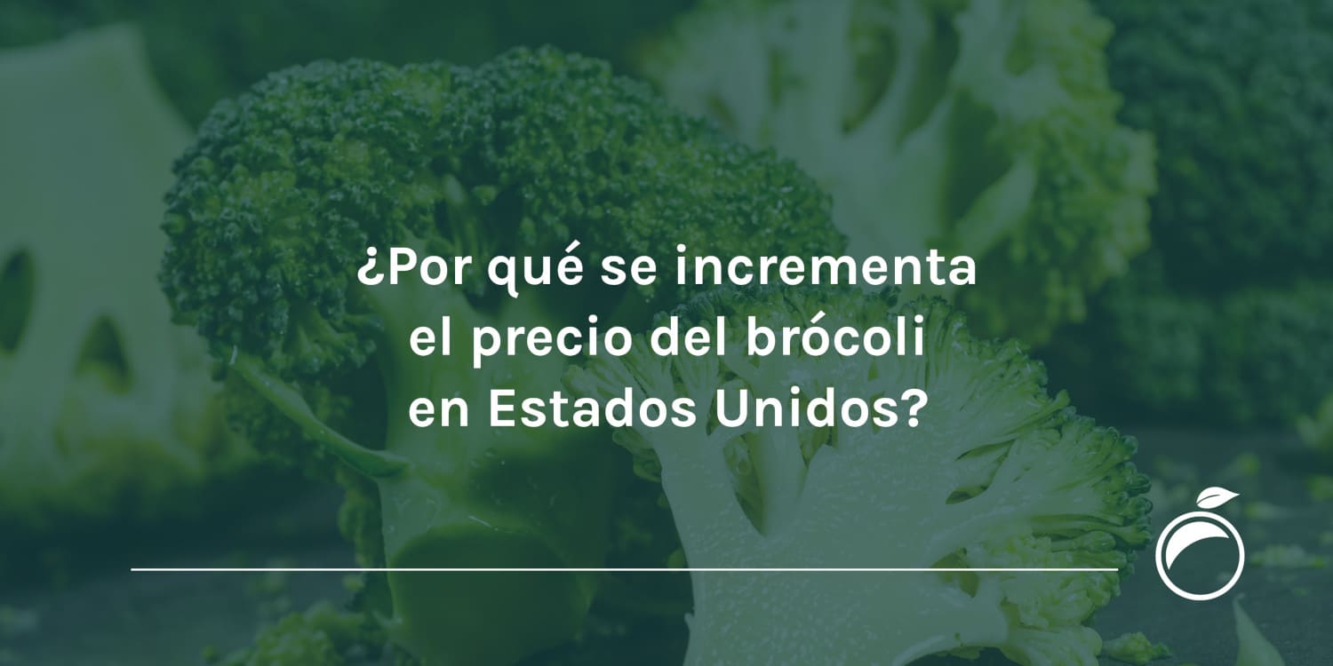 ¿Por qué se incrementa el precio del brócoli en Estados Unidos?
