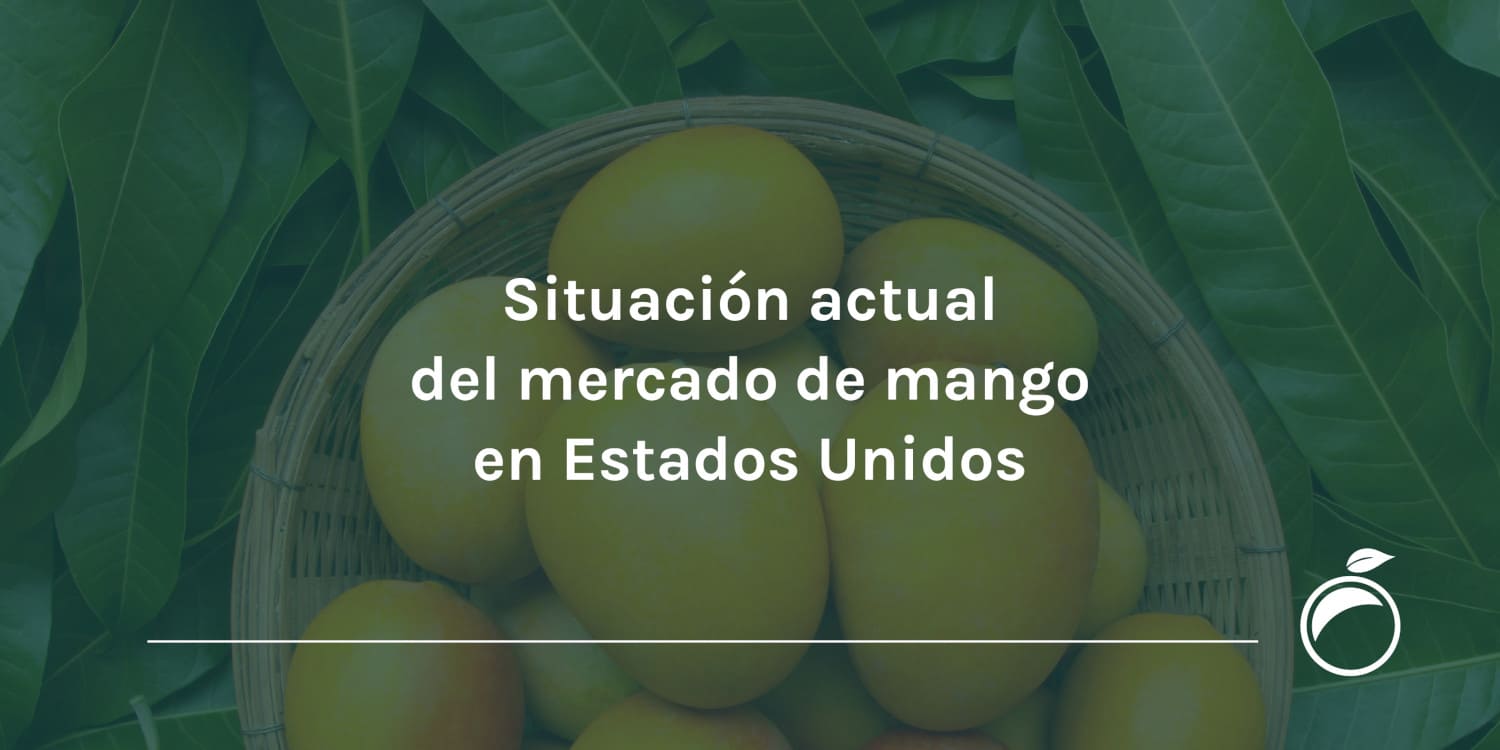Situación actual del mercado de mango en Estados Unidos