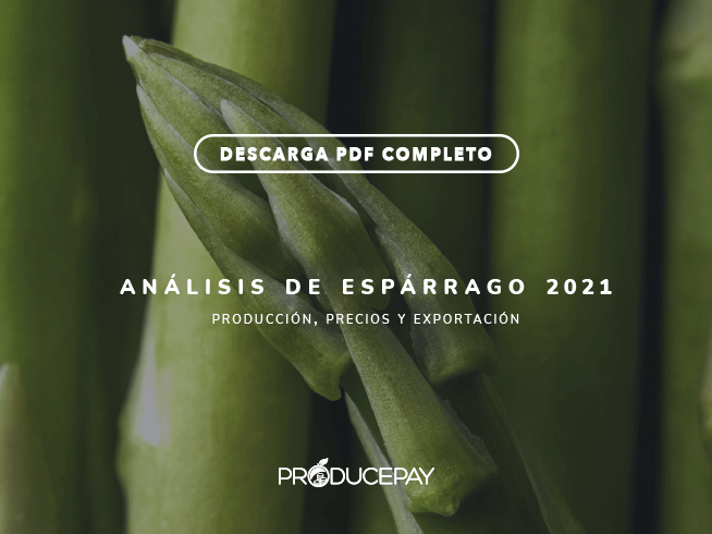 producepay-analisis-esparrago-white-paper-2021