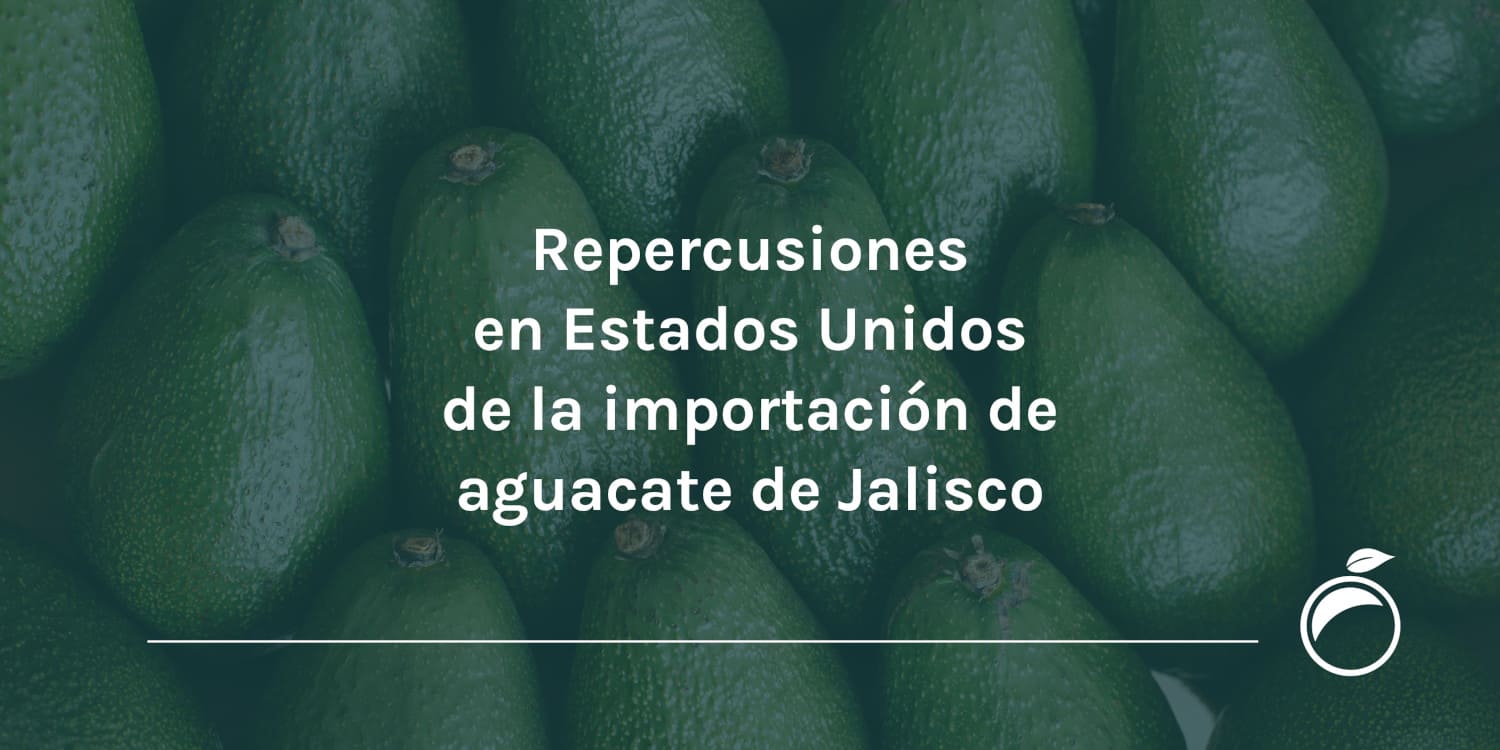 Repercusiones en Estados Unidos de la importación de aguacate de Jalisco