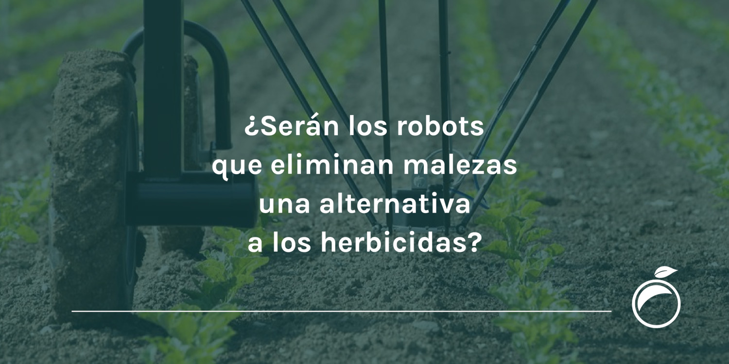 ¿Serán los robots que eliminan malezas una alternativa a los herbicidas?