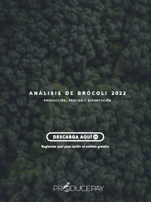 producepay-sidebar-analisis-brocoli-2022