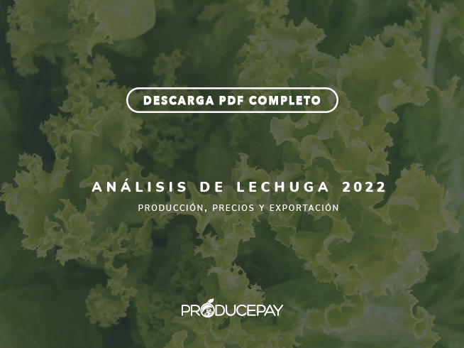 producepay-analisis-lechuga-white-paper-2022