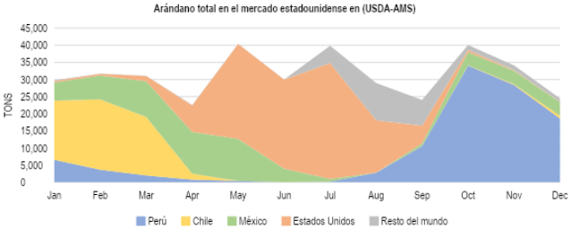 producepay-exportacion-arandano-peruano-arandano-total-en-mercado-estadounidense