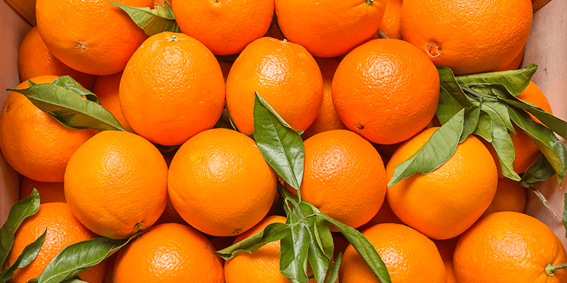 producepay-la-produccion-de-naranja-en-florida-se-desploma