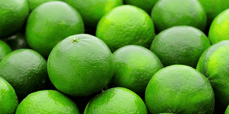producepay-regiones-productoras-de-limon-en-mexico