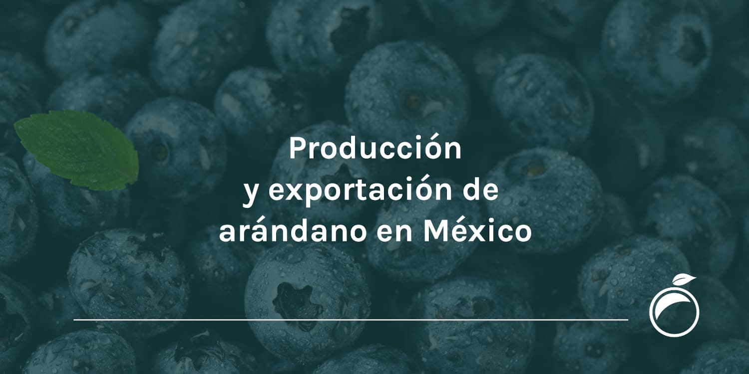 Producción y exportación de arándano en México