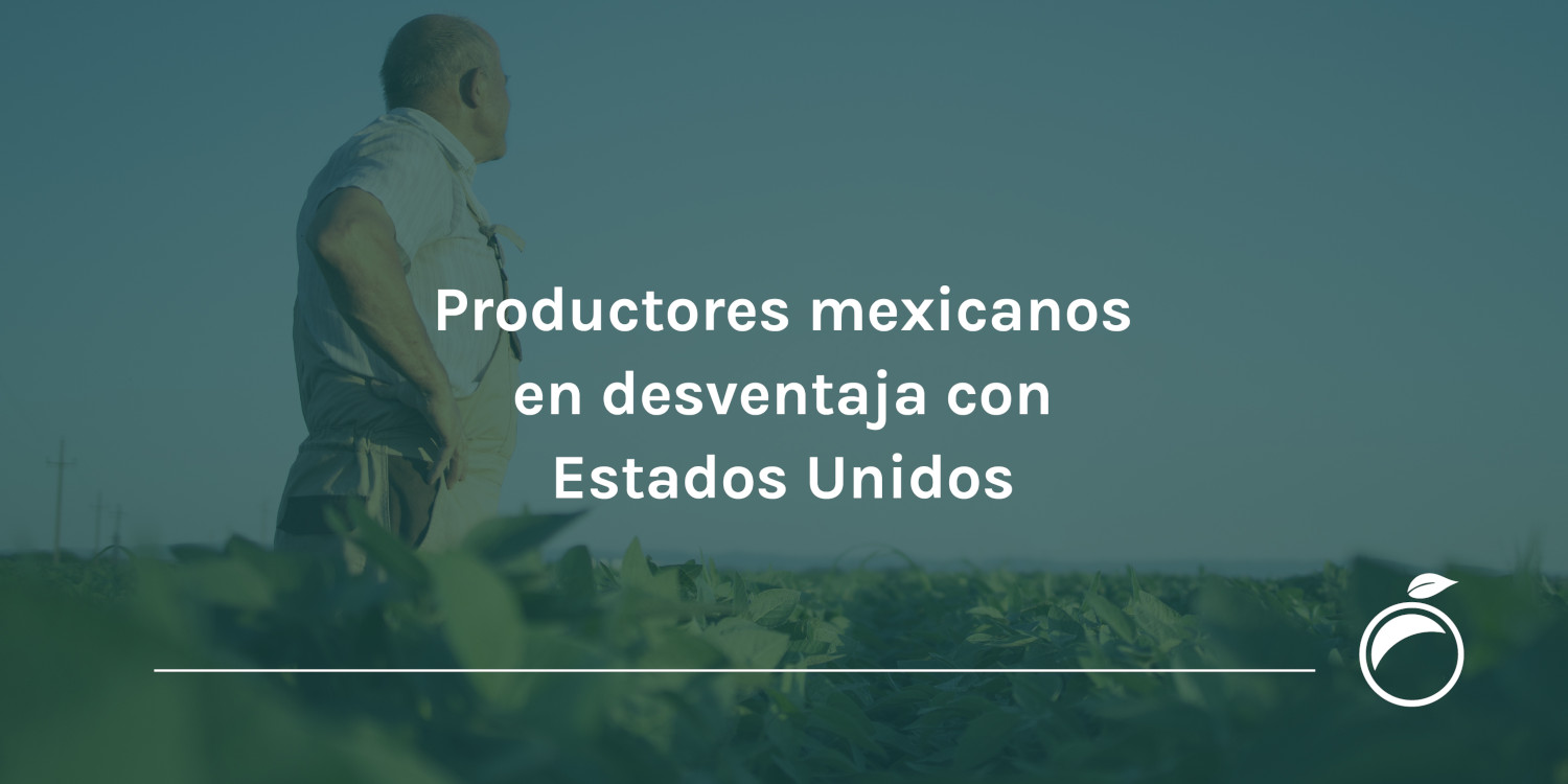 Productores mexicanos en desventaja con Estados Unidos