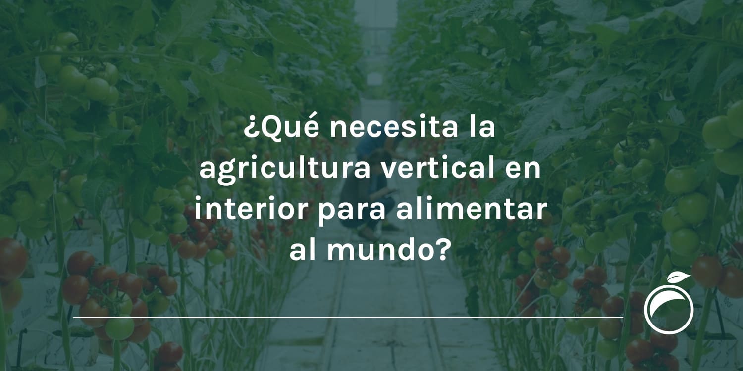 Qué necesita la agricultura vertical en interior para alimentar al mundo