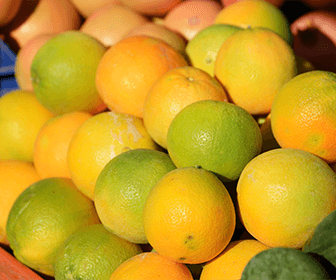 producepay-aparece-el-cancro-de-los-citricos-en-carolina-del-sur-comunicado-aphis