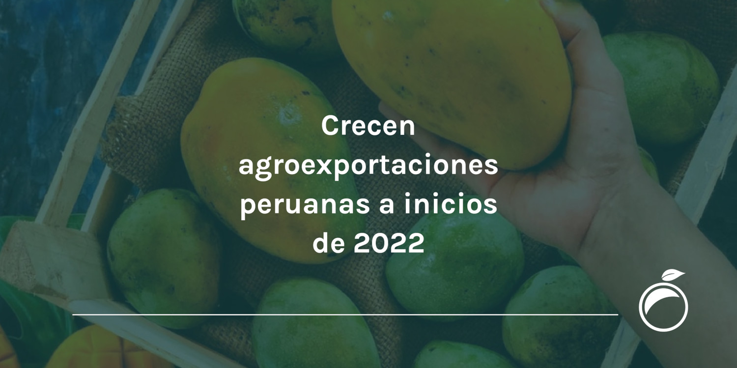 Crecen agroexportaciones peruanas a inicios de 2022