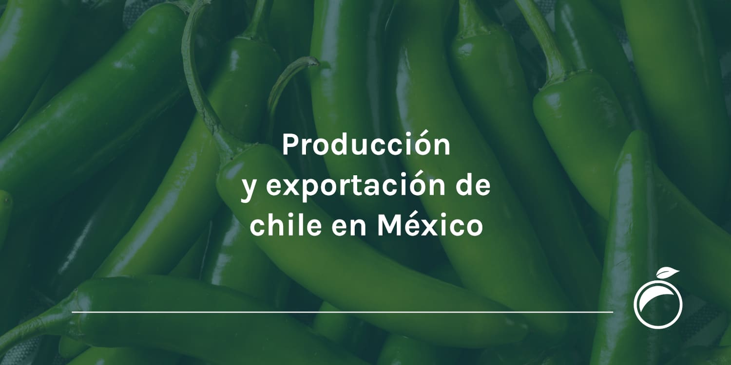 Producción y exportación de chile en México