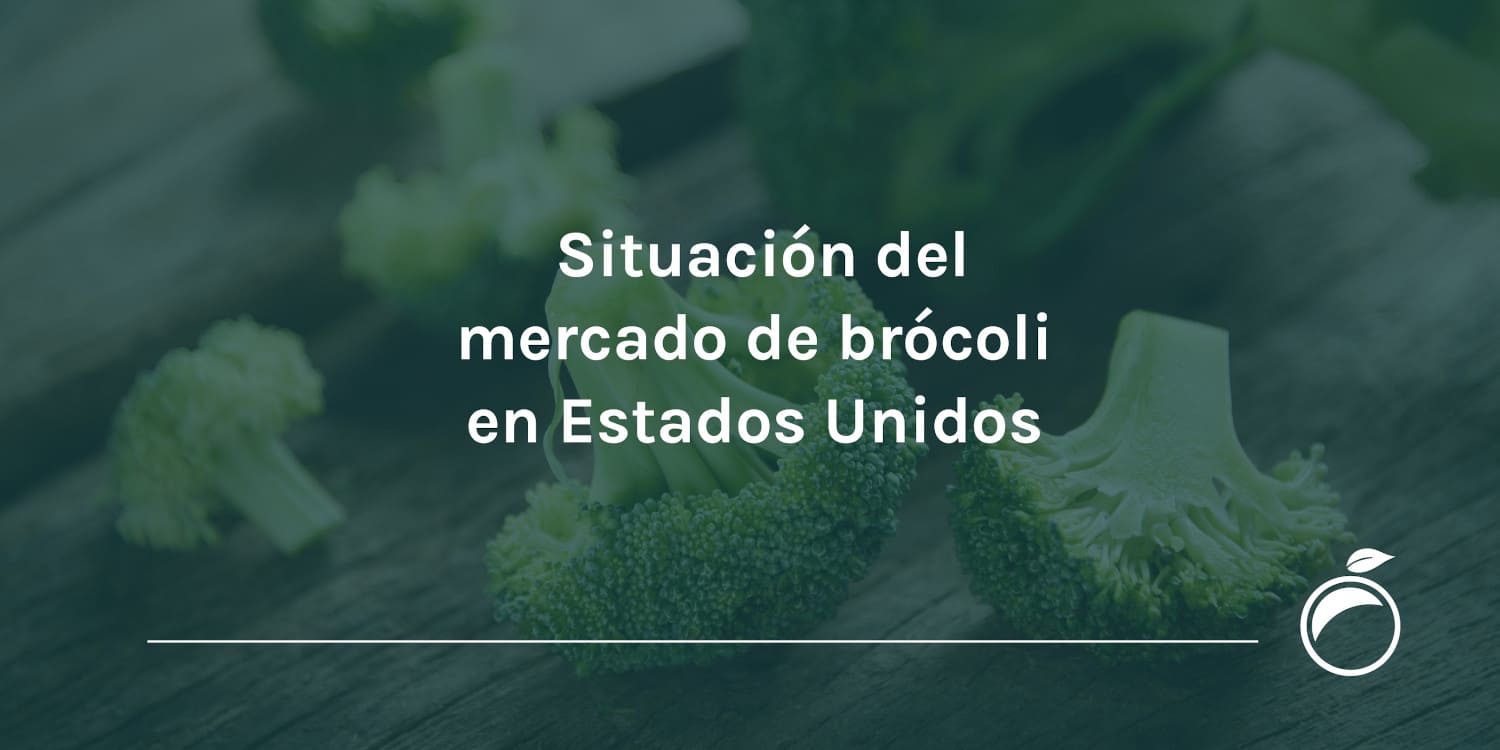 Situación del mercado de brócoli en Estados Unidos