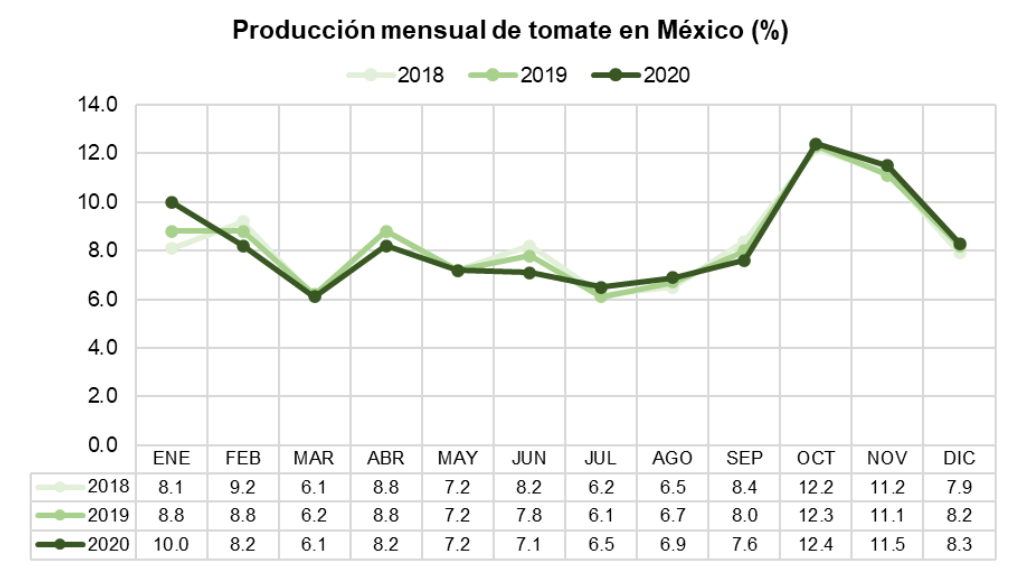 producepay-produccion-mensual-de-tomate-en-mexico