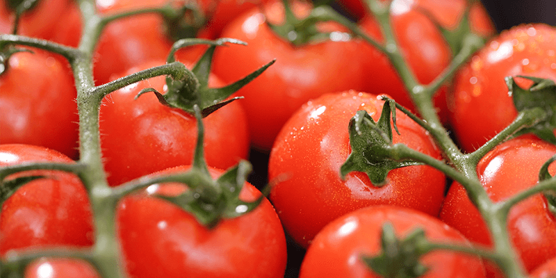 producepay-produccion-y-exportacion-de-tomate-en-mexico