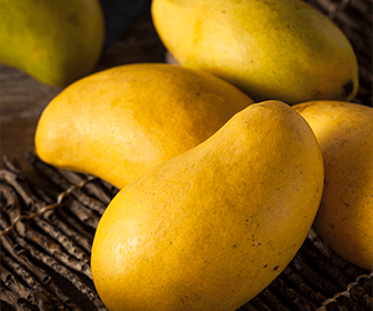producepay-retos-industria-de-mango-en-mexico