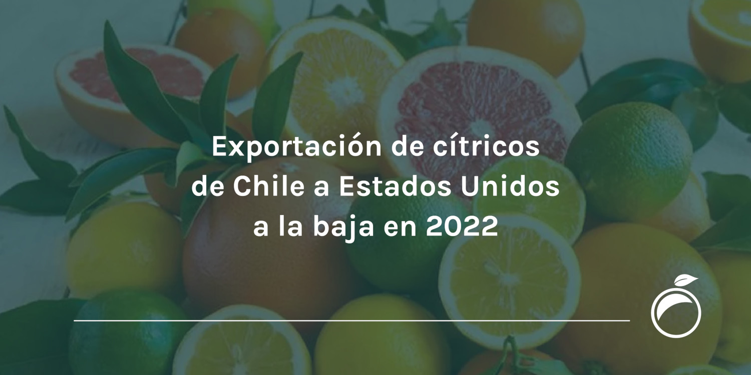 Exportación de cítricos de Chile a Estados Unidos a la baja en 2022
