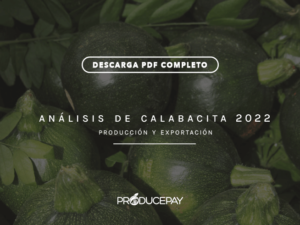 producepay-analisis-calabacita-white-paper-2022