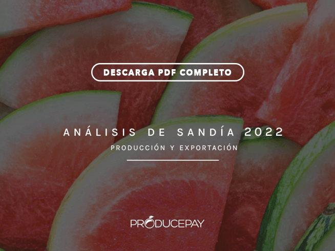 producepay-analisis-sandia-whitepaper-2022