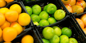 producepay-exportacion-de-citricos-de-chile-a-estados-unidos-a-la-baja-en-2022