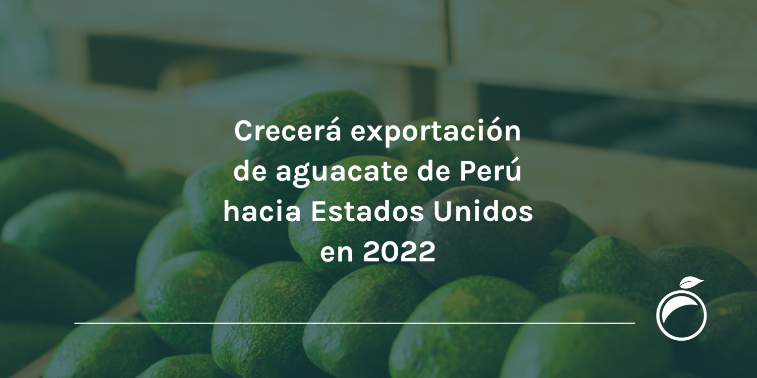 Crecerá exportación de aguacate de Perú hacia Estados Unidos en 2022