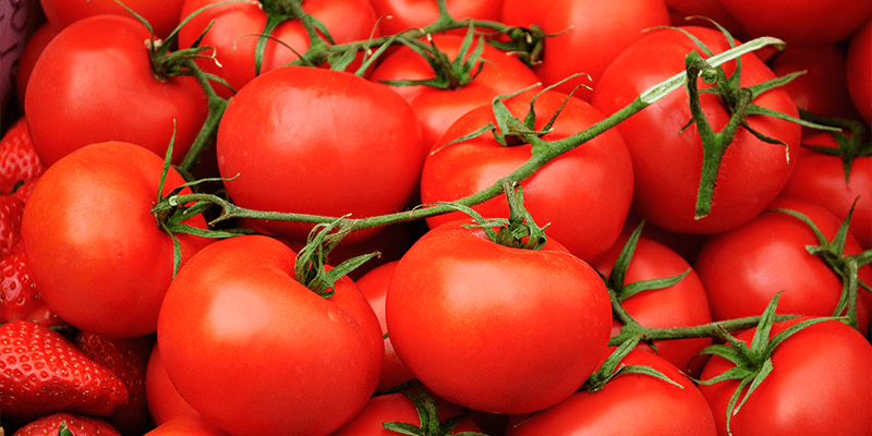 producepay-produccion-de-tomate-en-mexico-principales-regiones