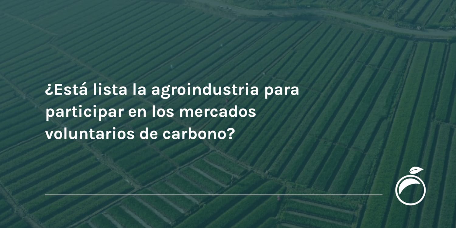¿Está lista la agroindustria para participar en los mercados voluntarios de carbono?