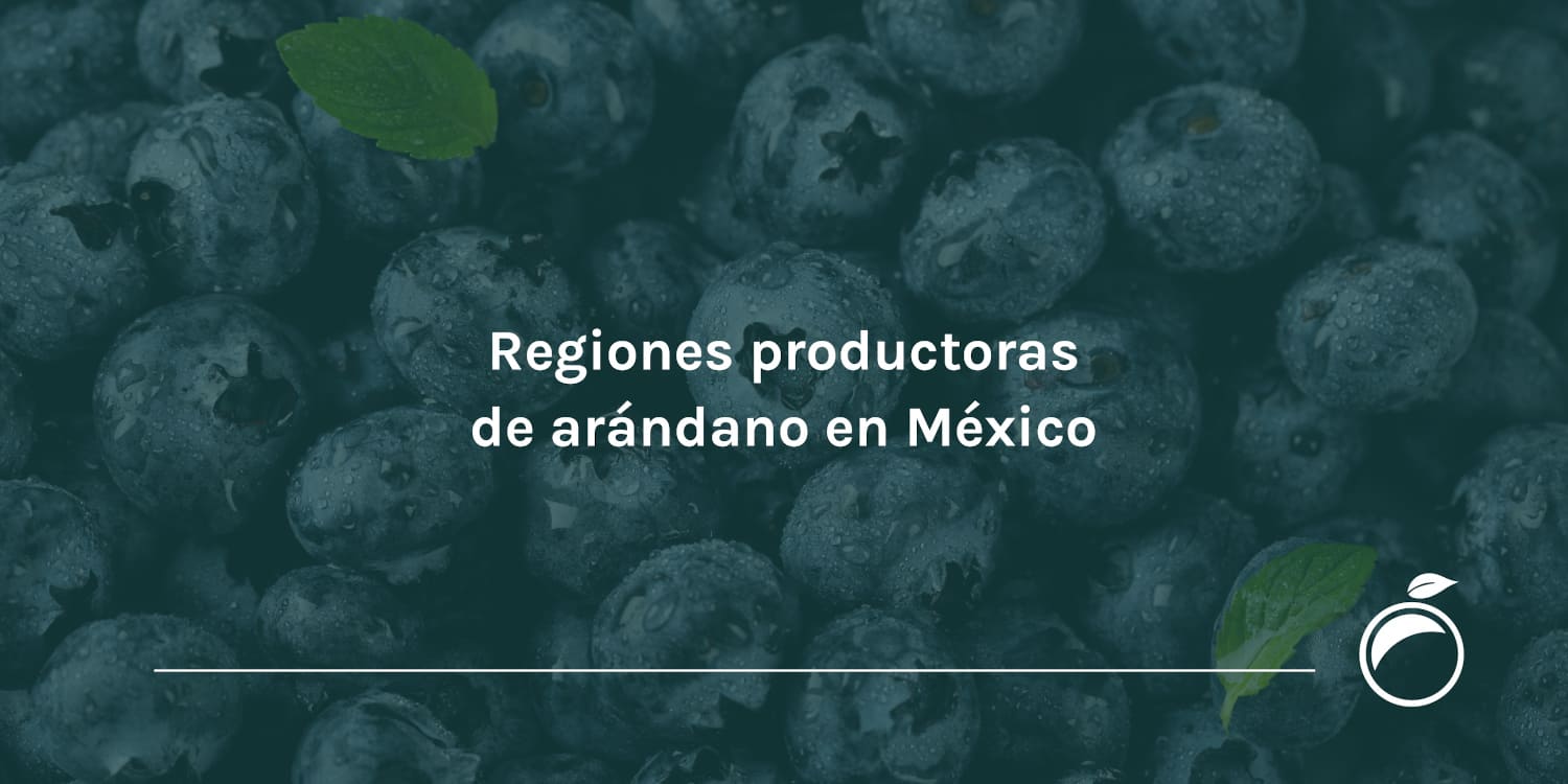 Regiones productoras de arándano en México