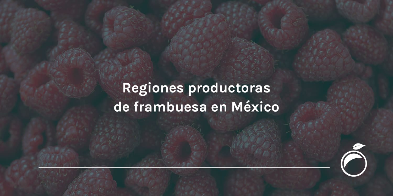 Regiones productoras de frambuesa en México