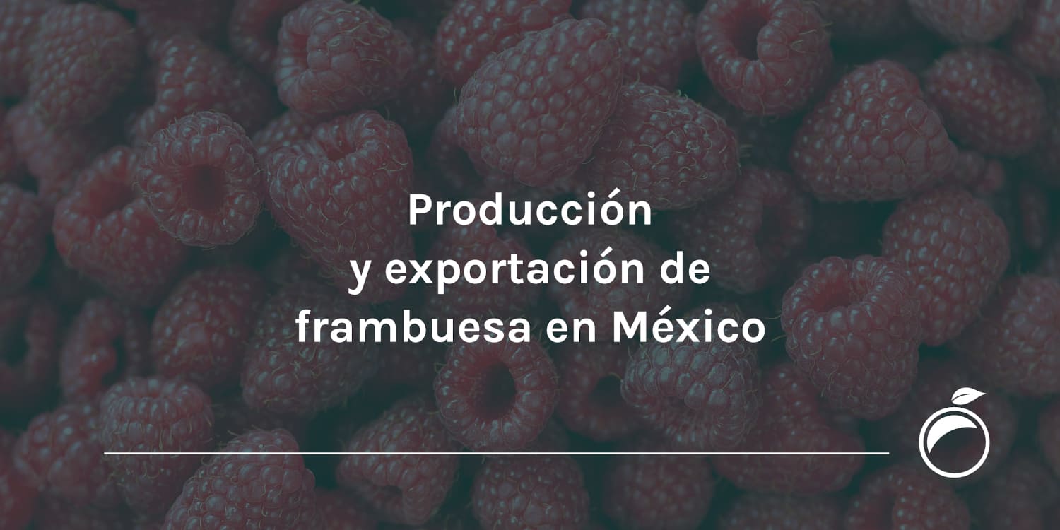 Producción y exportación de frambuesa en México