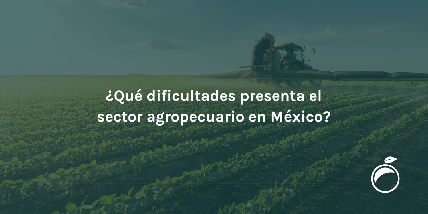 ¿Qué dificultades presenta el sector agropecuario en México?