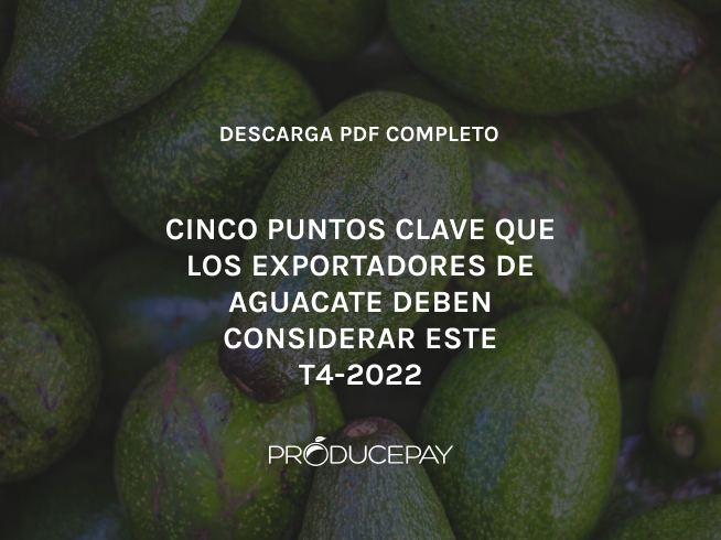 avocado ebook spanish