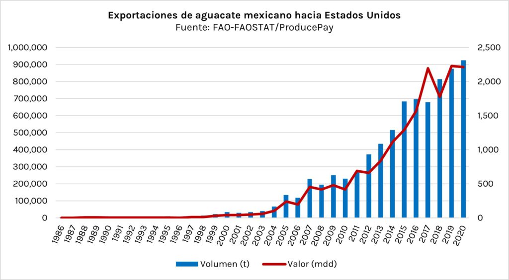 Exportaciones de aguacate mexicano hacia Estados Unidos
