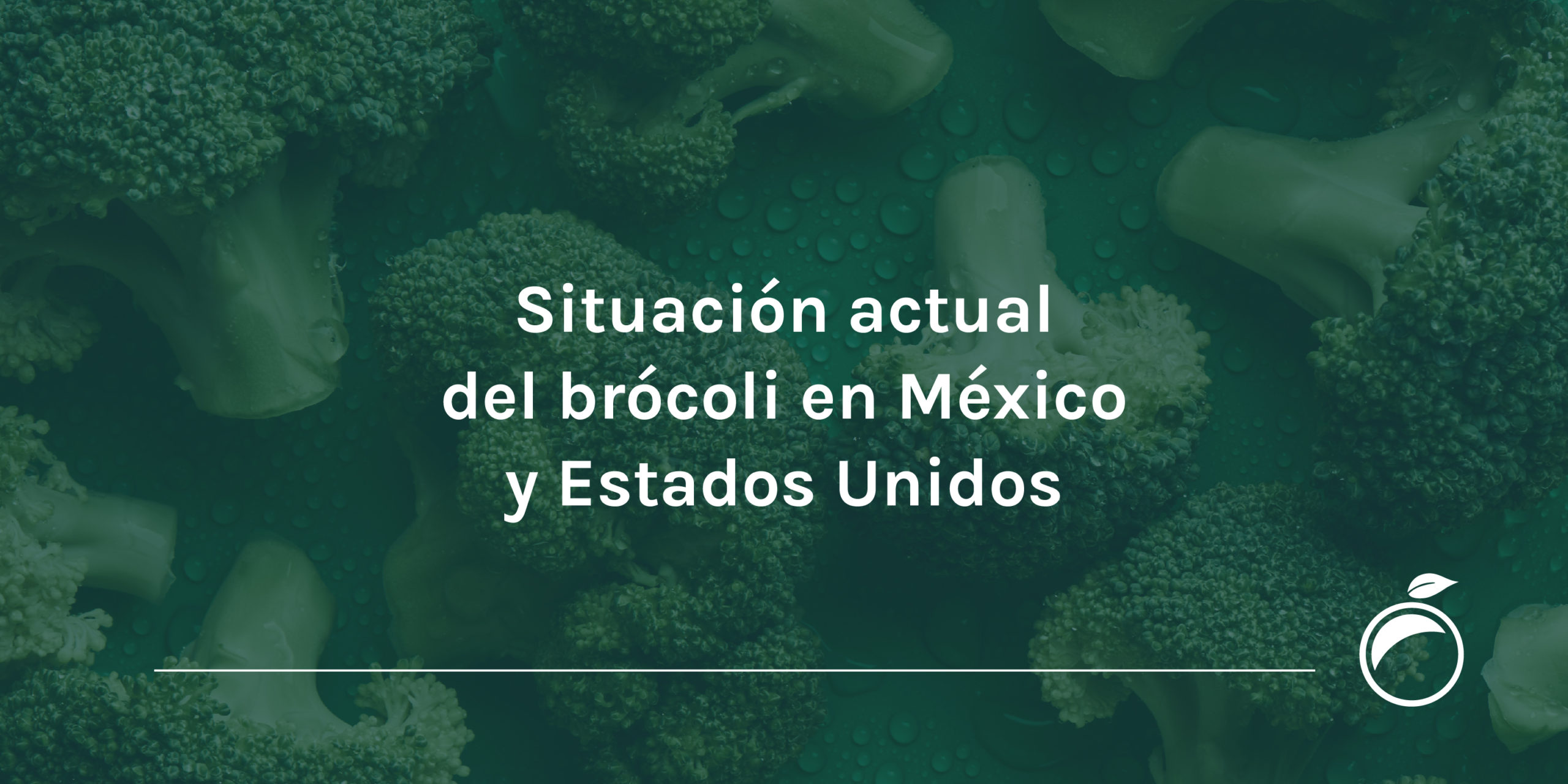 Situación actual del brócoli en México y Estados Unidos