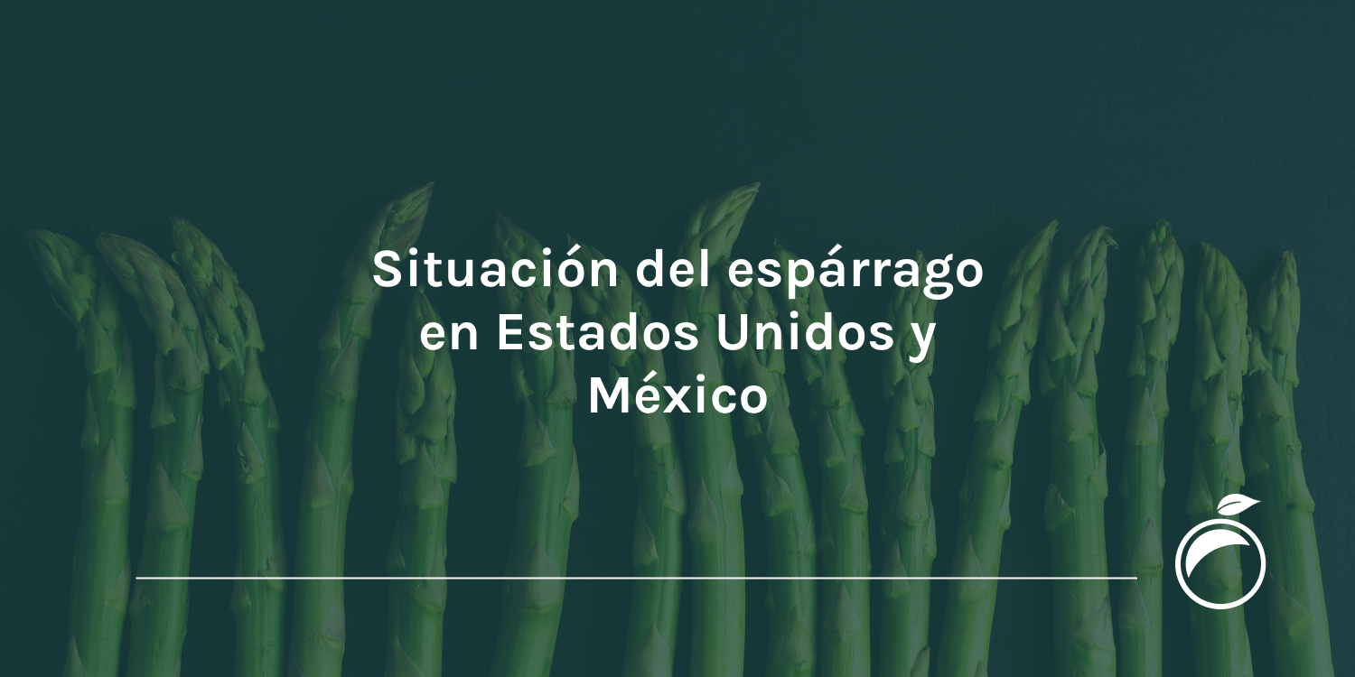 Situación del espárrago en Estados Unidos y México
