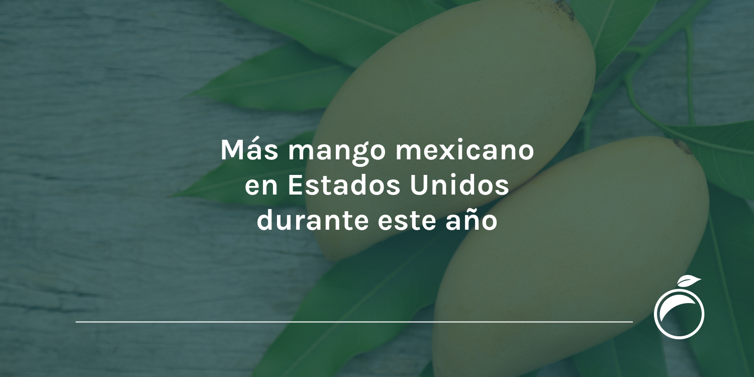 Más mango mexicano en Estados Unidos durante este año