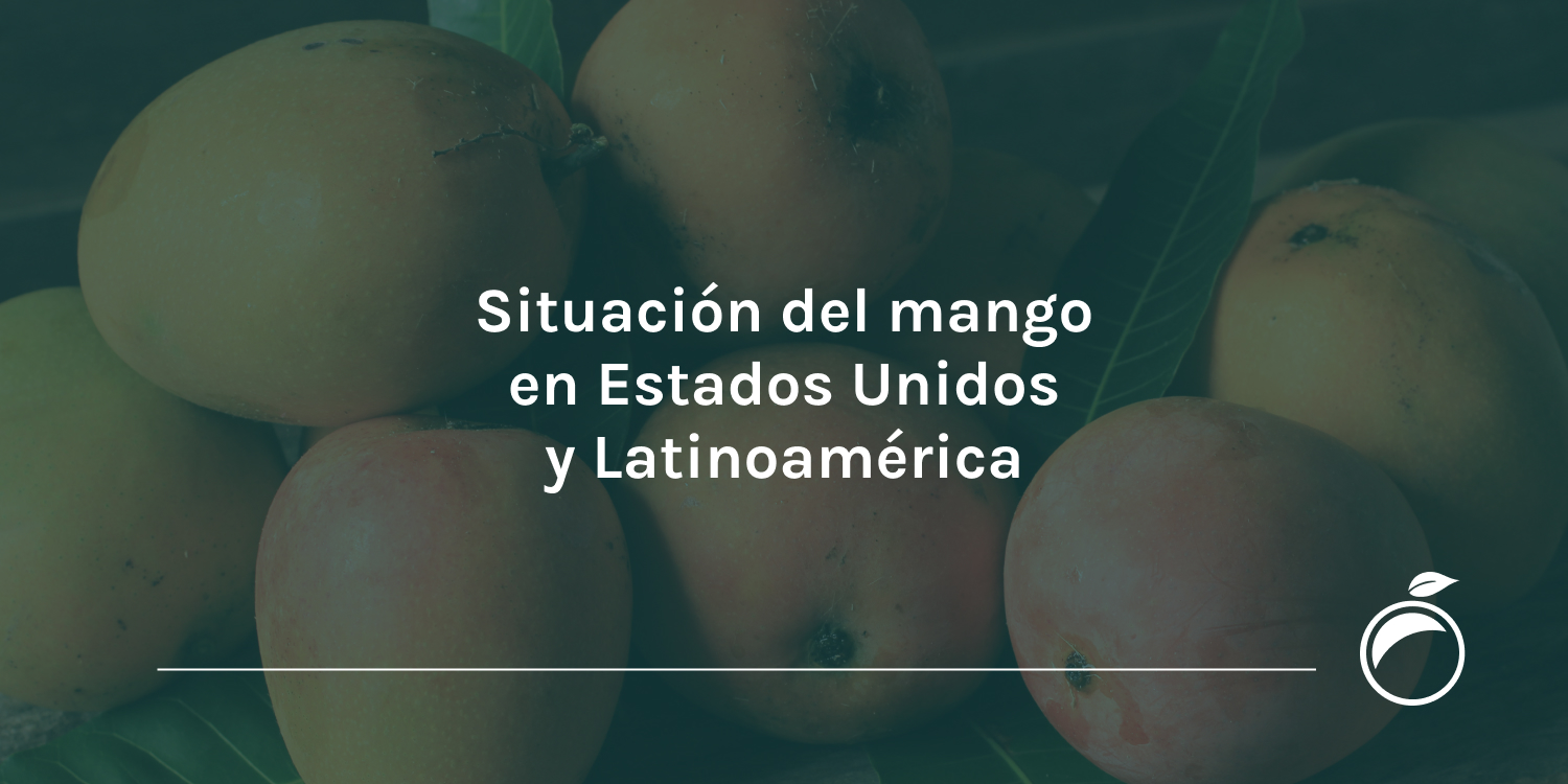 Situación del mango en Estados Unidos y Latinoamérica
