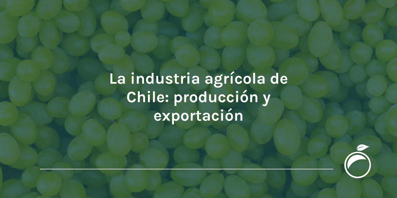 La industria agrícola de Chile producción y exportación