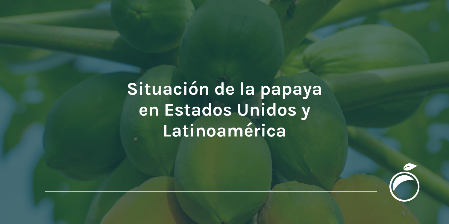 Situación de la papaya en Estados Unidos y Latinoamérica