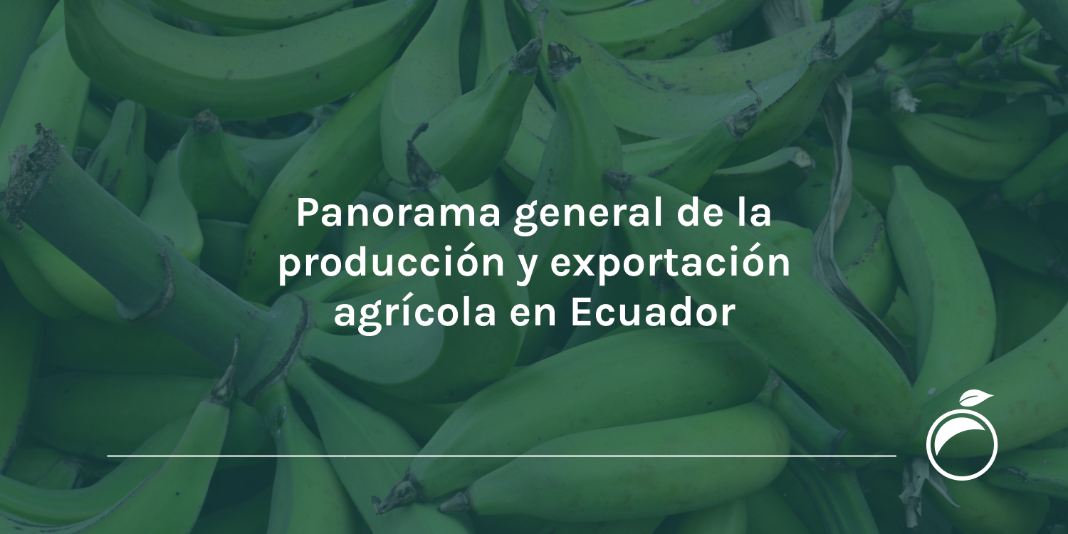 Panorama general de la producción y exportación agrícola en Ecuador