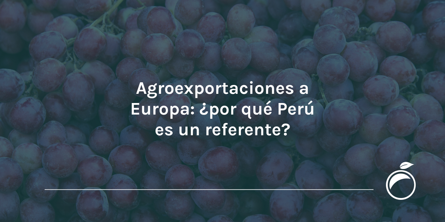 Agroexportaciones a Europa: ¿por qué Perú es un referente?