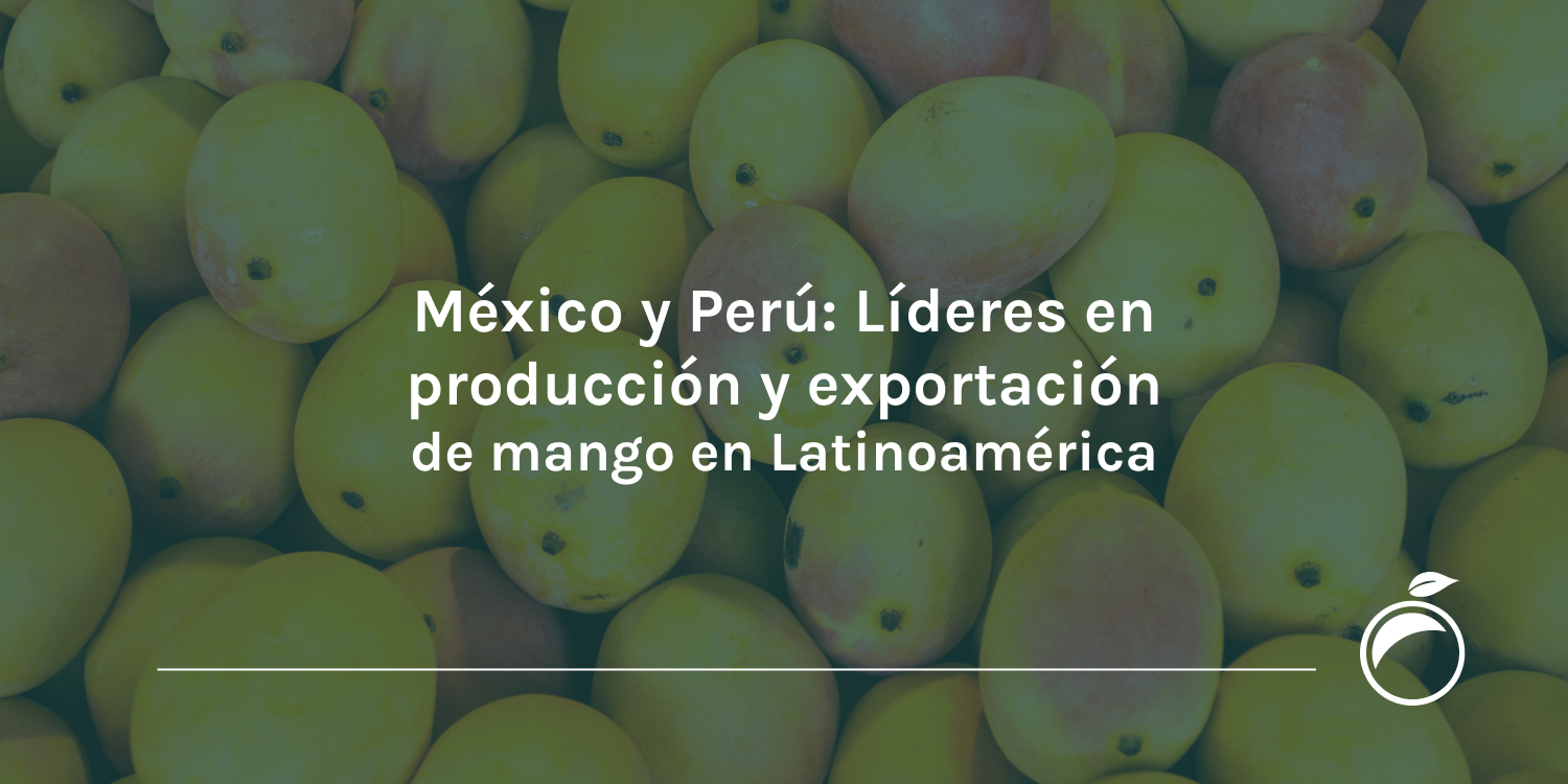 México y Perú Líderes en producción y exportación de mango en Latinoamérica